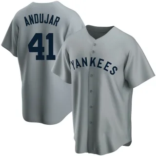 Youth Replica Gray Miguel Andujar New York Yankees Road Cooperstown Collection Jersey